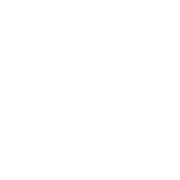 Goose Byte